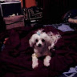 Meet your Posher, Neecee